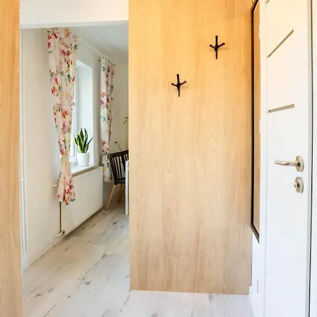 Petunia * Duszniki Zdrój