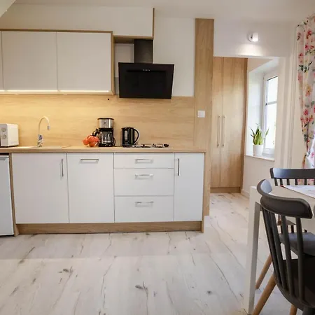 Petunia Duszniki Zdrój